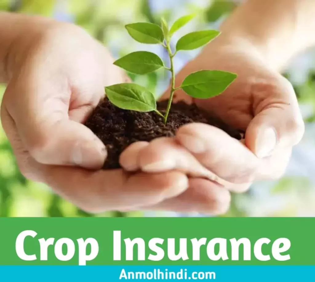 Crop insurance