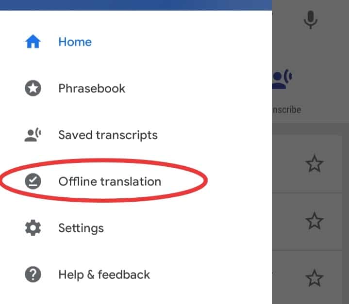 Google Translate hindi