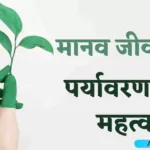 Importance of environment in hindi
