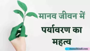 Importance of environment in hindi