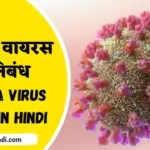 corona virus essay in hindi