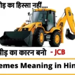 memes meaning in hindi