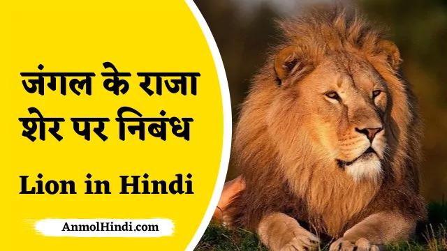 About Lion in Hindi