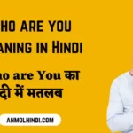 Who are you meaning in hindi