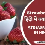 Strawberry in Hindi